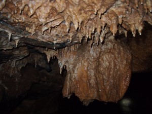 P1017806