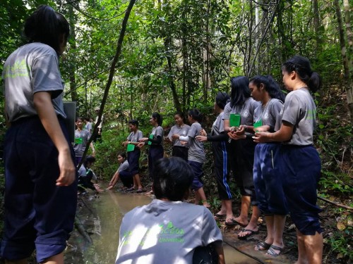 22815315_1649570718428239_5975214932051501055_n