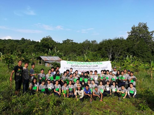 ปลูกป่าดูดซับคาร์บอน