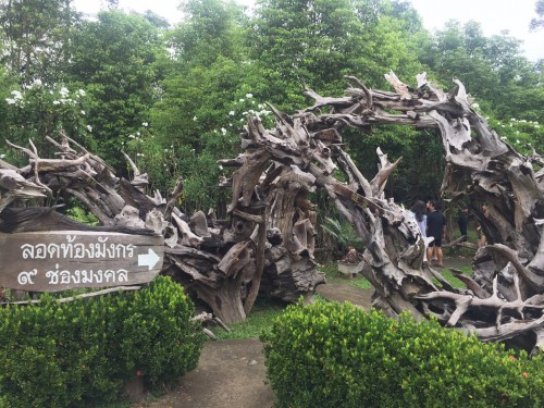 IMG-5643