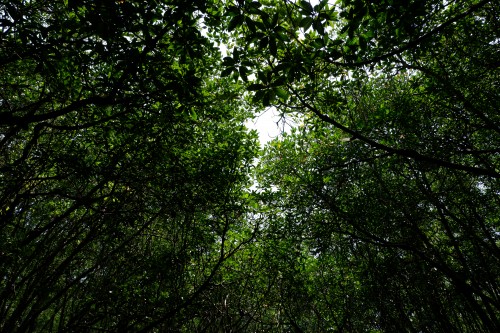DSCF4342