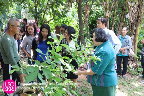 ผู้บริหารร่วมลงพื้นที่เกาะยอ