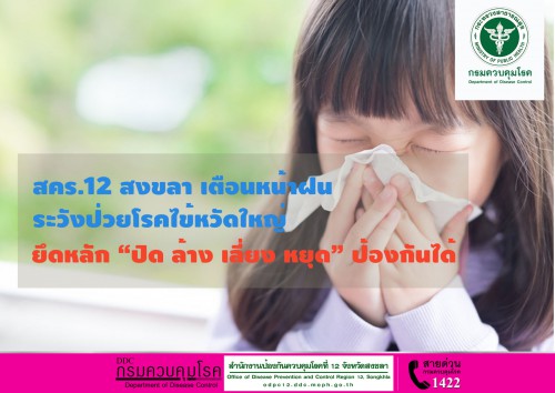 ไข้หวัดใหญ่ copy