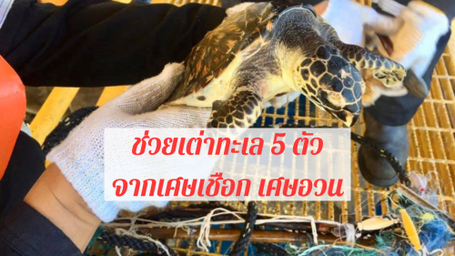 81EFF2AE-D2B7-4F24-86DC-DAB3C89A89CF