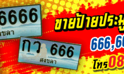 ขายป้ายทะเบียน กว666 และ กว6666 สงขลา